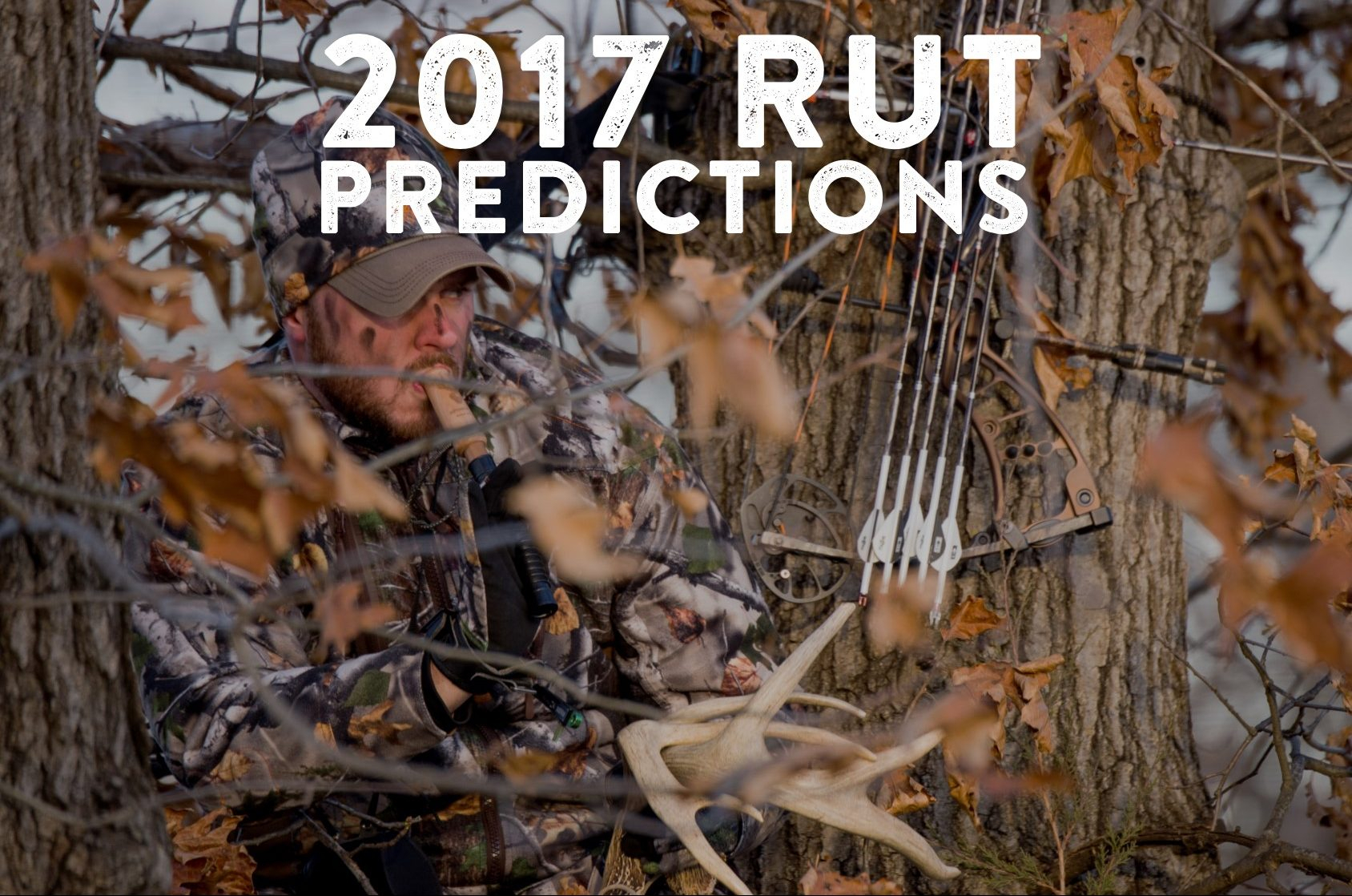 2017 Rut Predictions For Every Theory - Legendary Whitetails
