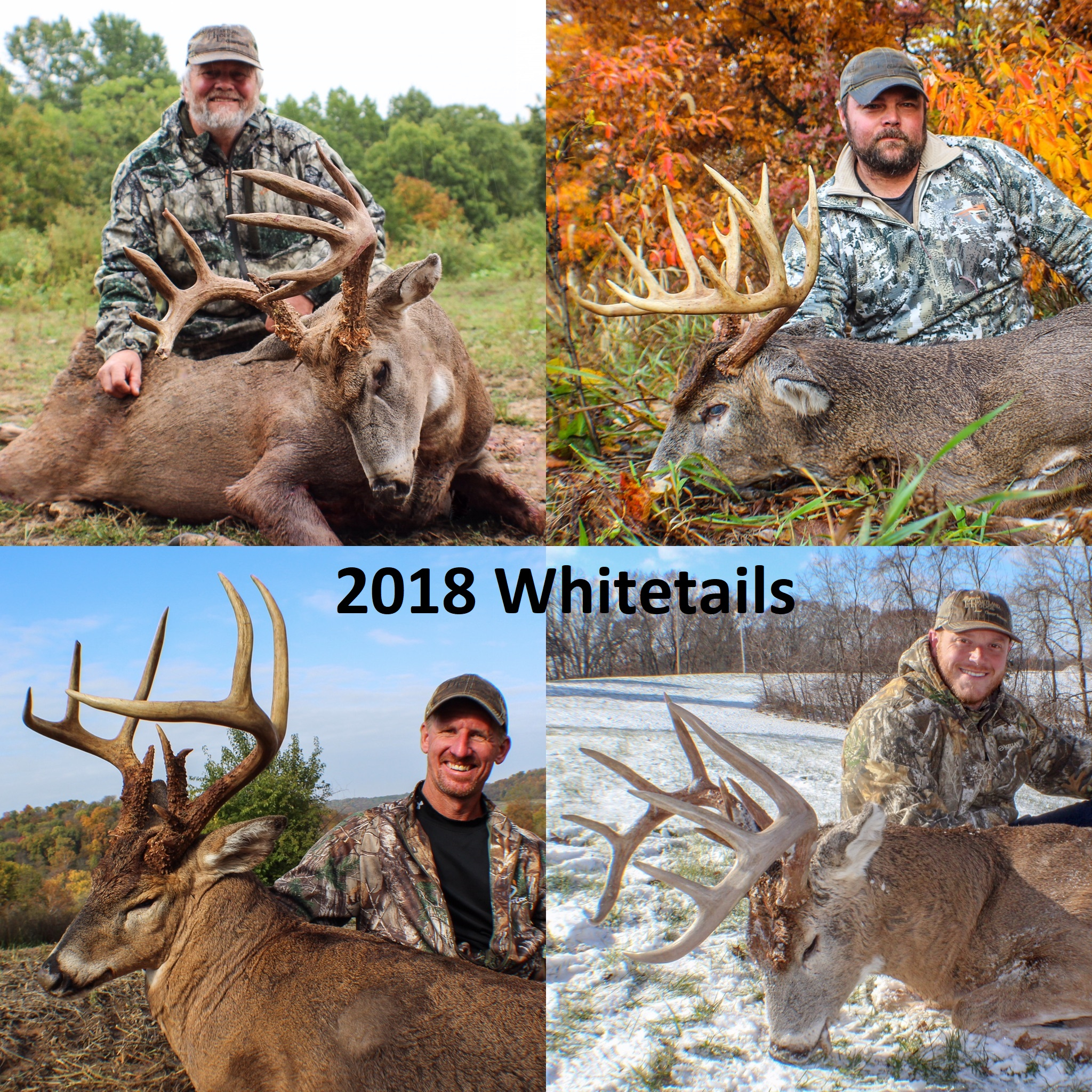 Deer Rut 2020 Illinois | Calendar Template Printable