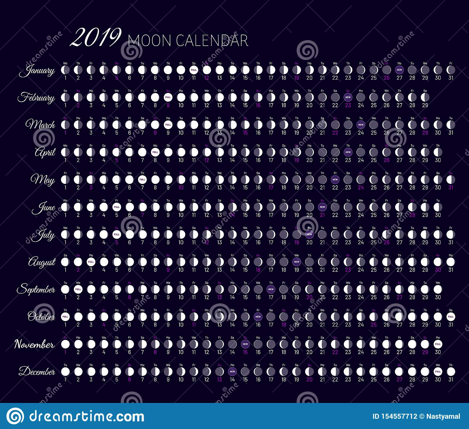 Moon Illumination And Moon Age At 2020 Year Stock Vector