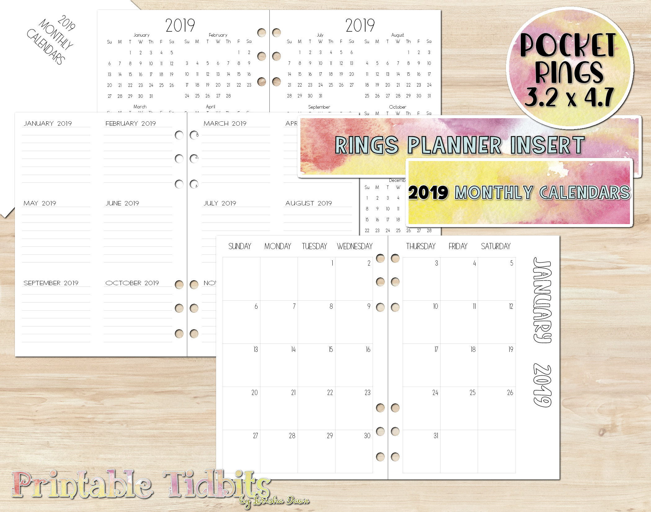 Pocket 2019 Planner Insert - 2019 Calendar - Printable Pocket Planner Insert