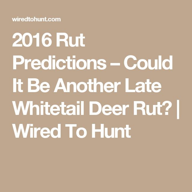 2016 Rut Predictions – Could It Be Another Late Whitetail