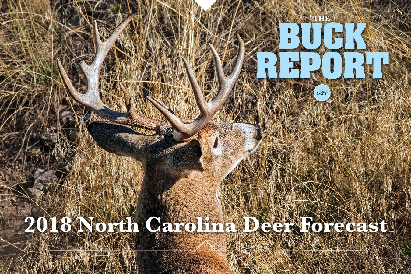 2020 Deer Season Forecast – Template Calendar Design