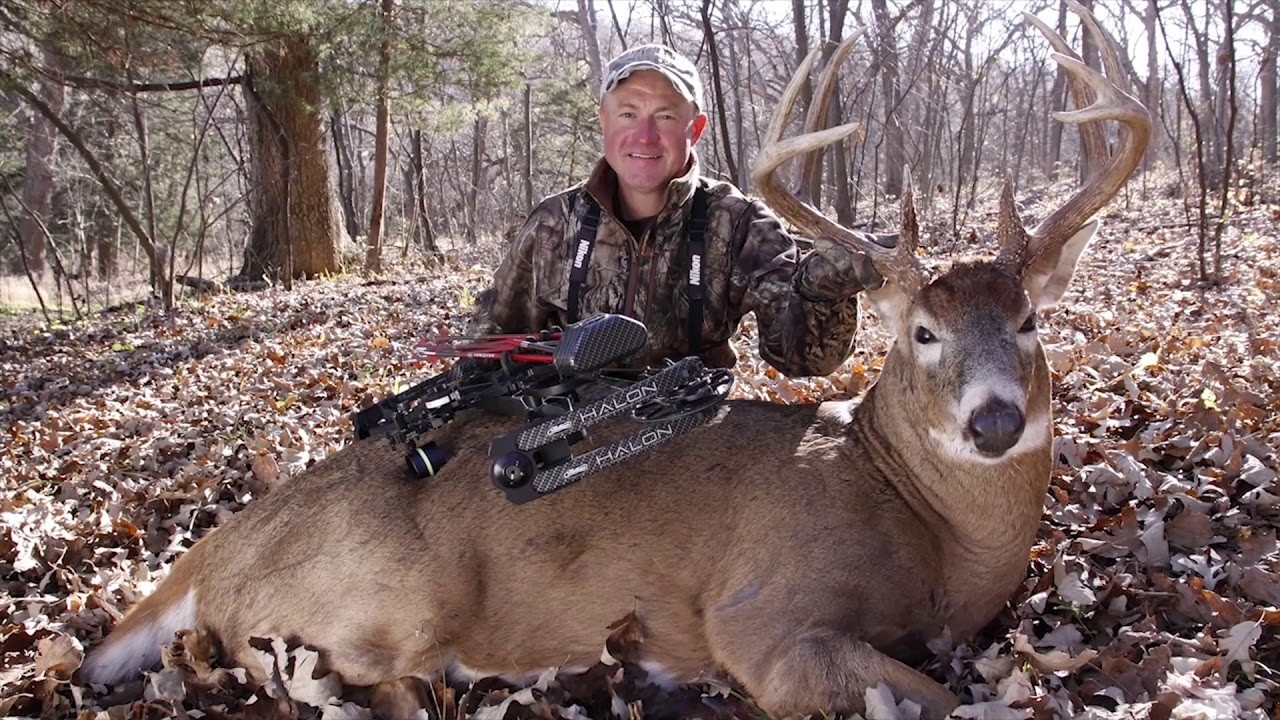 2020 Whitetail Rut Predictions For Pennsylvania – Template