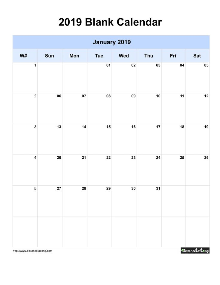 Blank Calendar 2019 One Month Per Page Sunday To Saturday