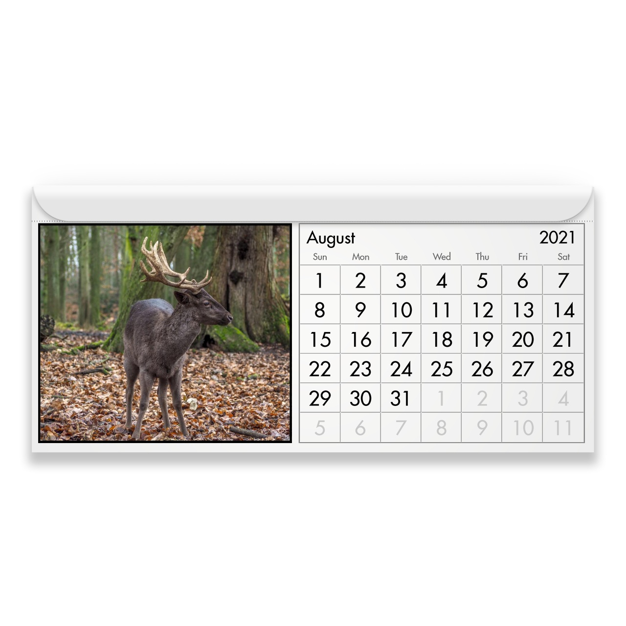 Deer 2021 Magnetic Calendar