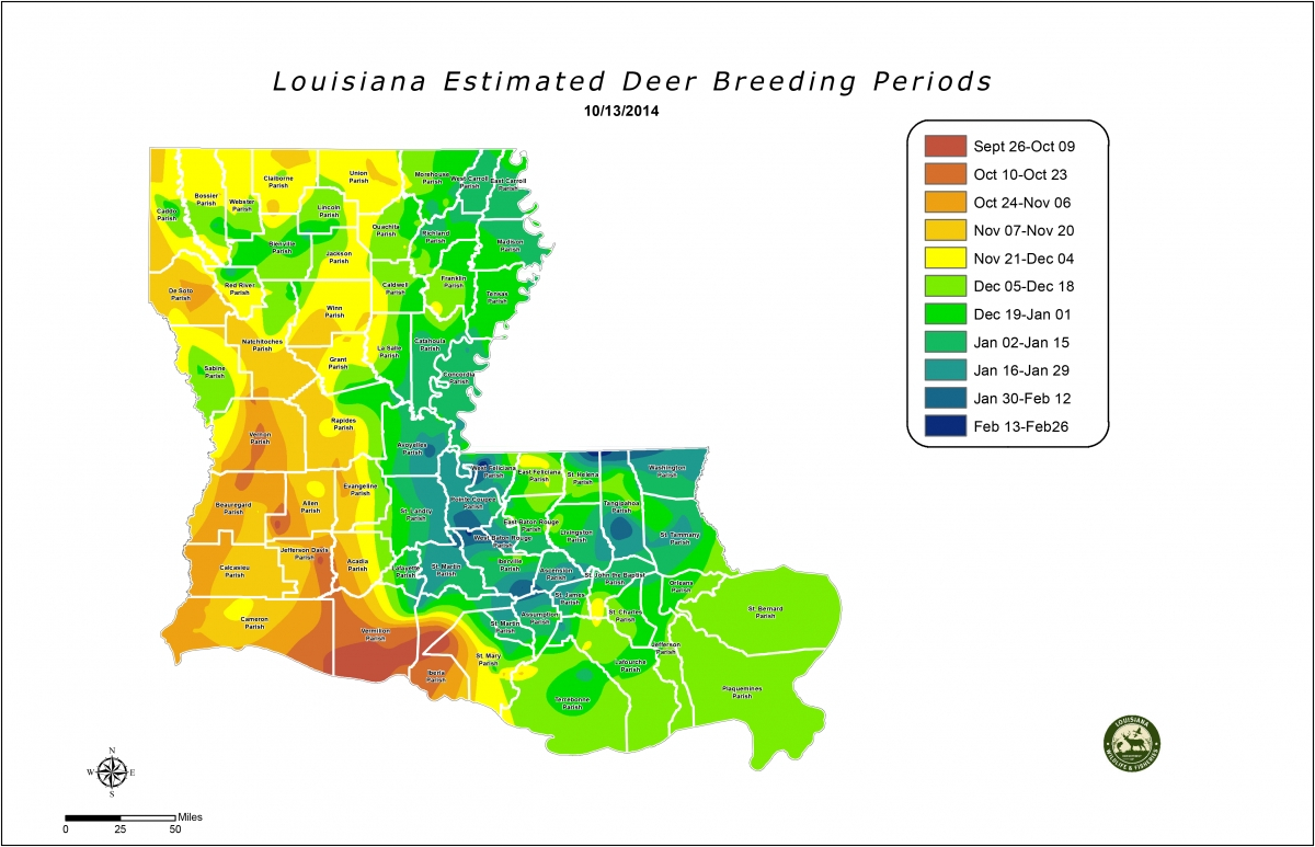 Deer Rut Forecast 2020 – Template Calendar Design