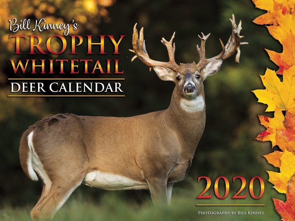 Deer Rut Whitetail 2020 – Template Calendar Design