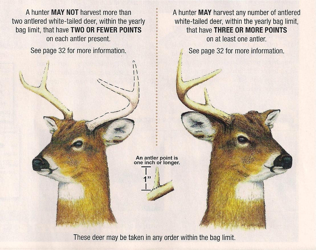 Deer Rut Whitetail 2020 – Template Calendar Design