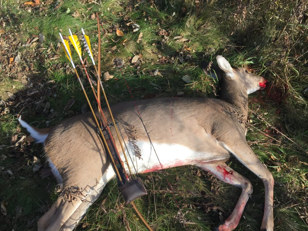 Jon West 2018 Indiana Whitetail Deer | Archer&#039;S Den