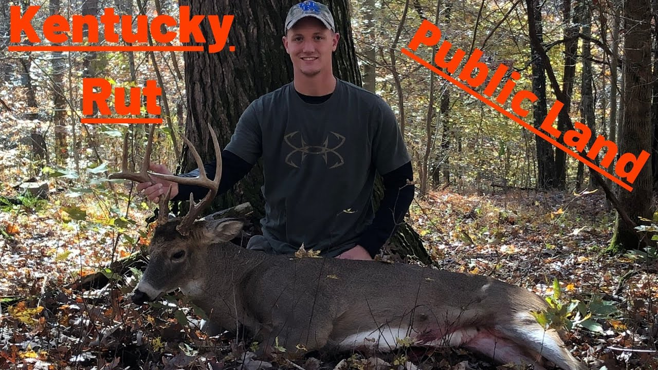 Kentucky Whitetail Deer Public Land Bow Hunt 11-08-19
