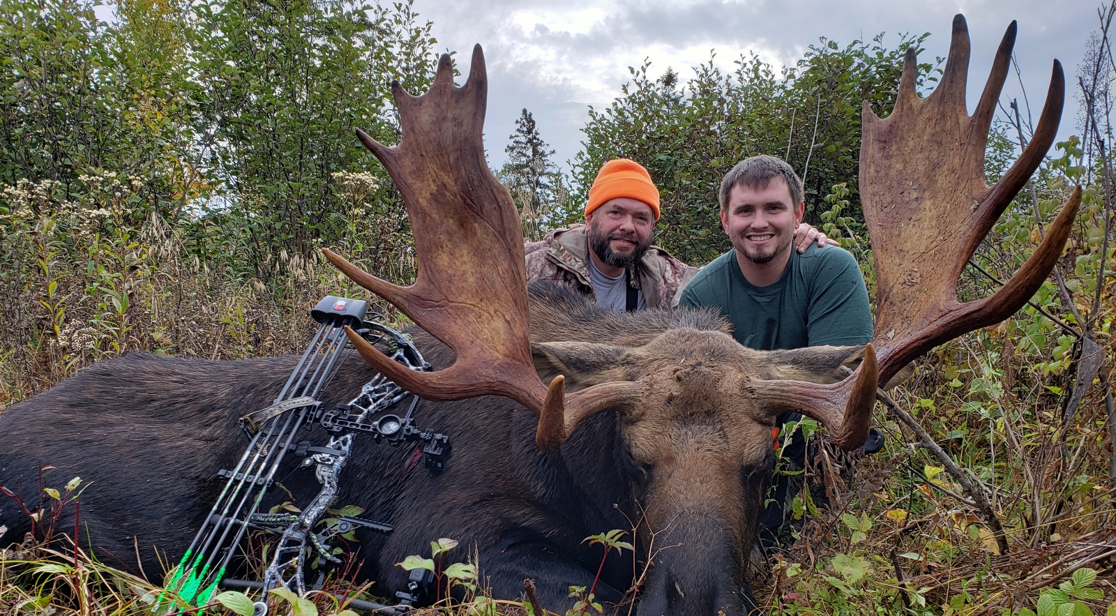 Maine Moose Hunting Outfitter &amp; Guide In Wmd 1,2,3,4,5,6,&amp;11.