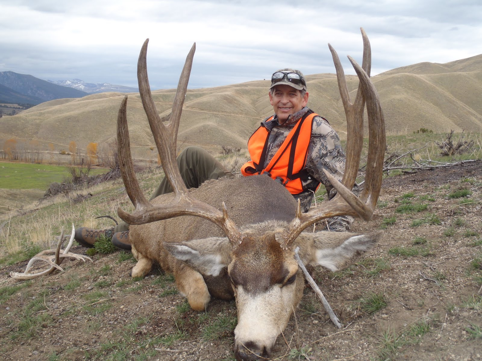 Montana Outfitter Journal: Ratteling And Calling Mule Deer