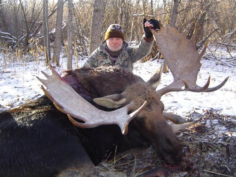 Moose Hunts – North Star Outfitting