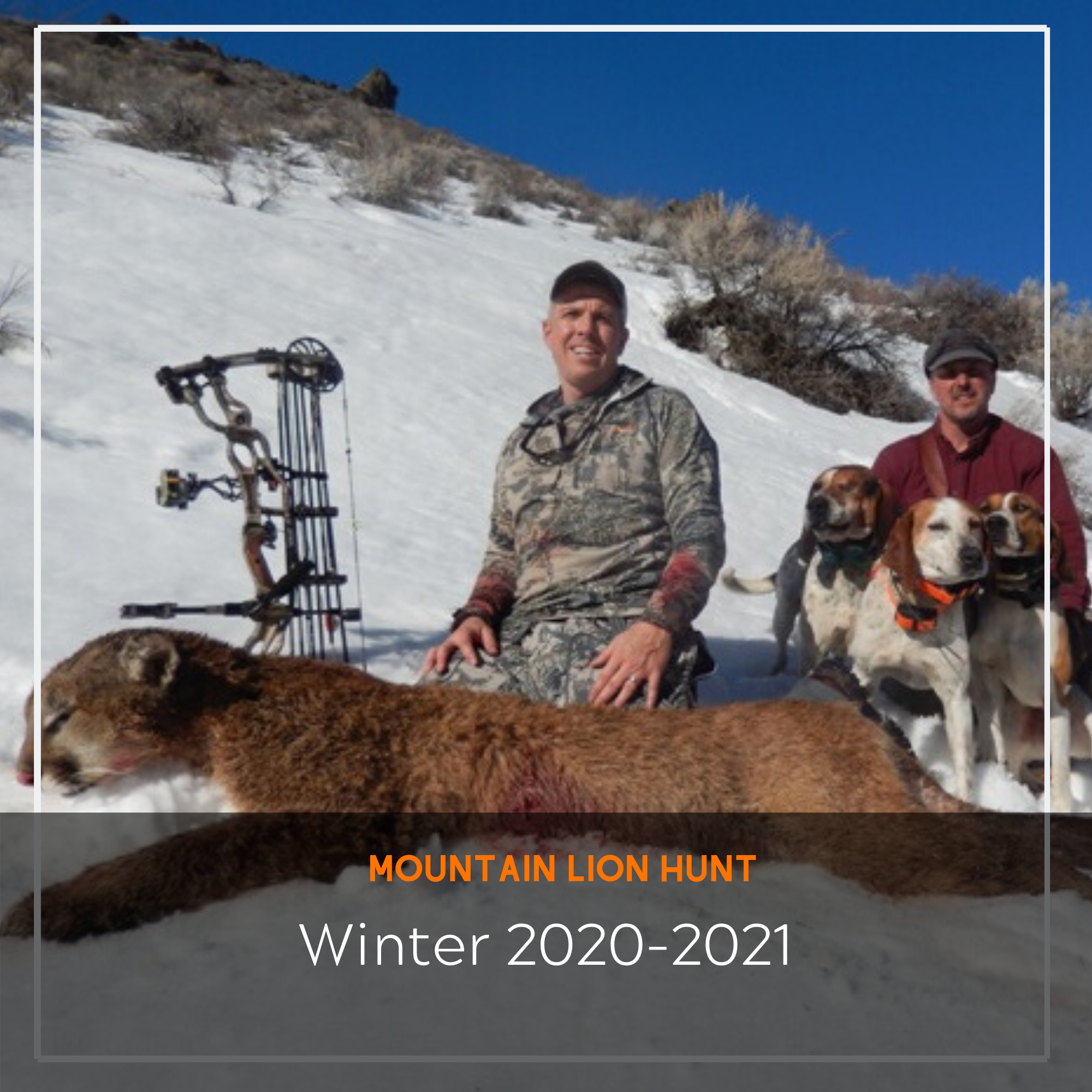 Mountain Loin Hunt- 2020-2021 | Arrived Outdoors