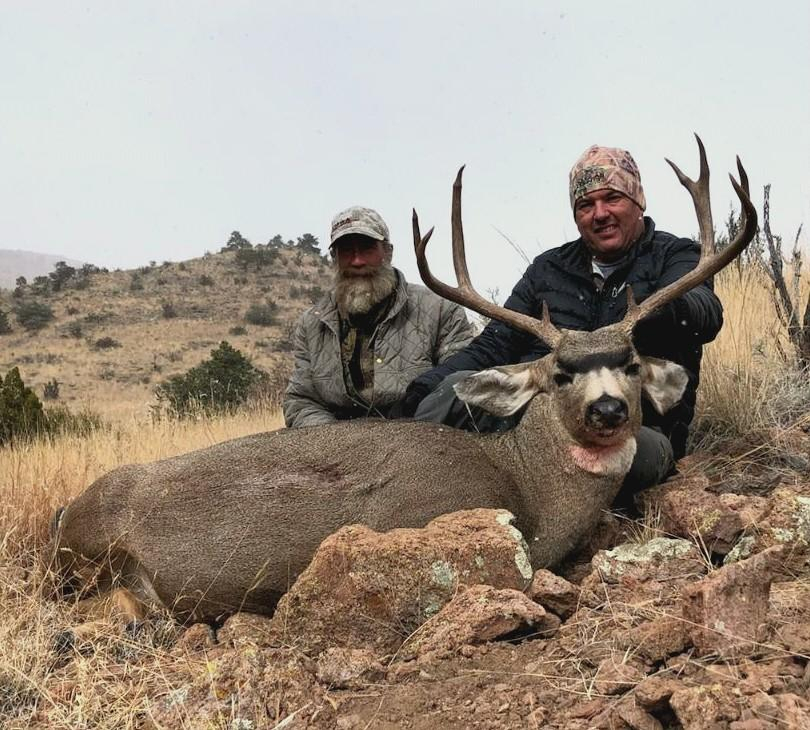 Mule Deer – Kiowa Hunting Service