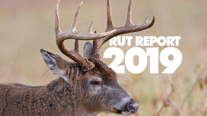 Oklahoma Whitetail Rut Forecast 2019 – Cptcode.se