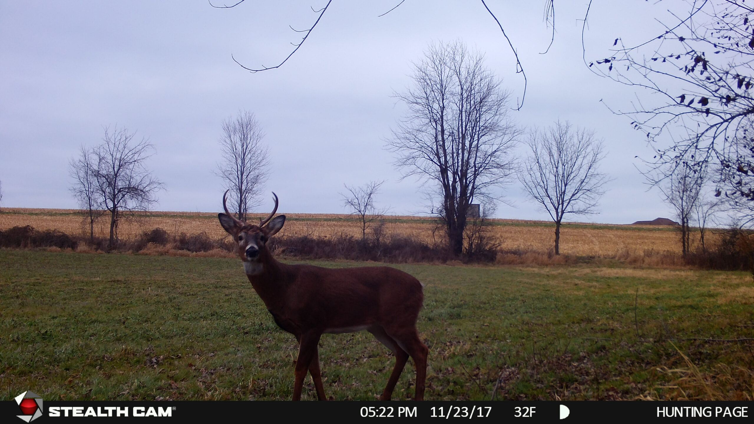 Rut Tracker Markers For The 2018 Rut Forecast — The