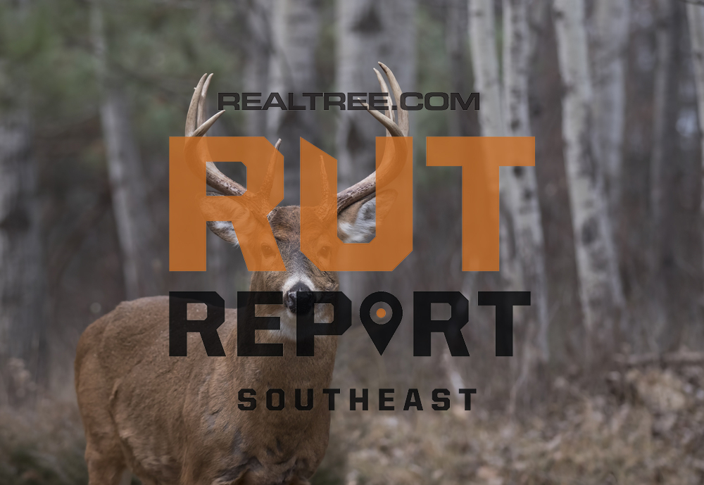Southeast Rut Report: The Rut Is On Fire In Alabama