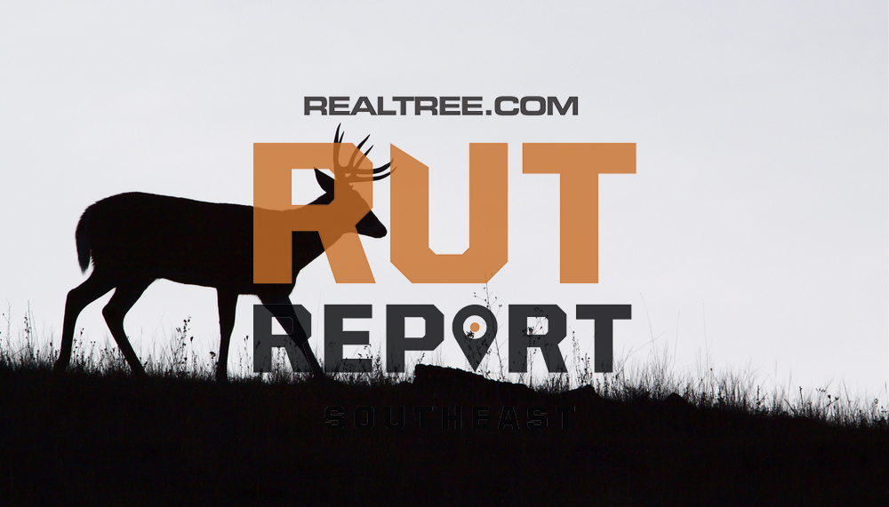 Southeast Rut Report: Things Are Calming In Some Places