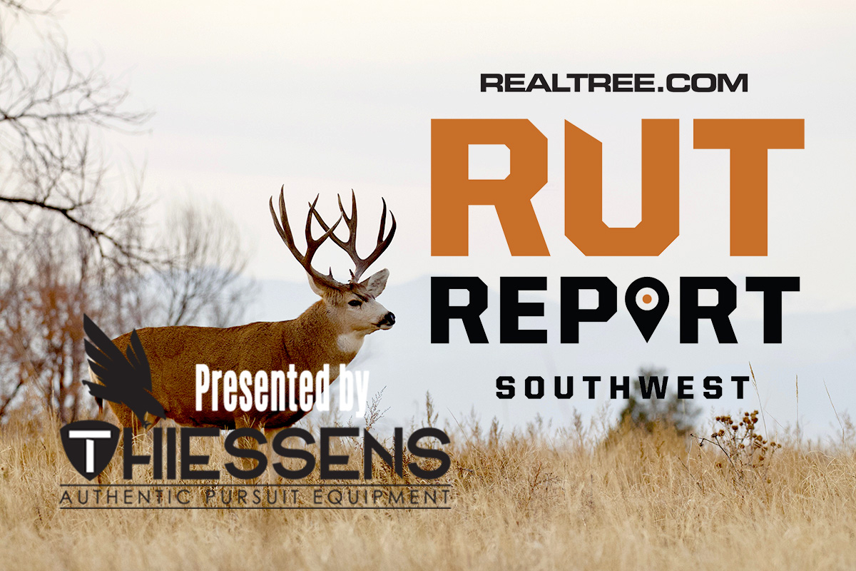 Southwest Rut Report: Deer Season Ends | Realtree Camo
