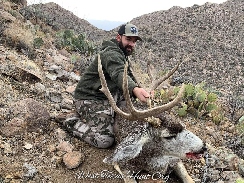 W. Tx Mule Deer Success - Texas Hunting Forum