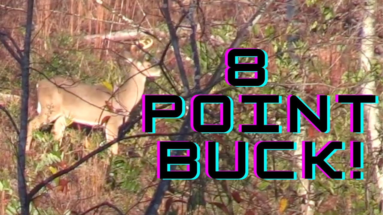 8 Point Buck!! | Nc Deer Season 2020-2021