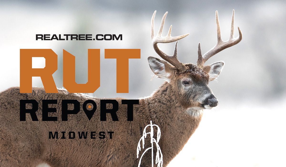 Dec. 12 Midwest Rut Report, 2020