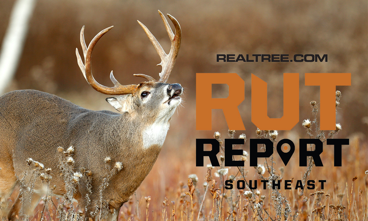 Dec. 13 Southeast Rut Report, 2020