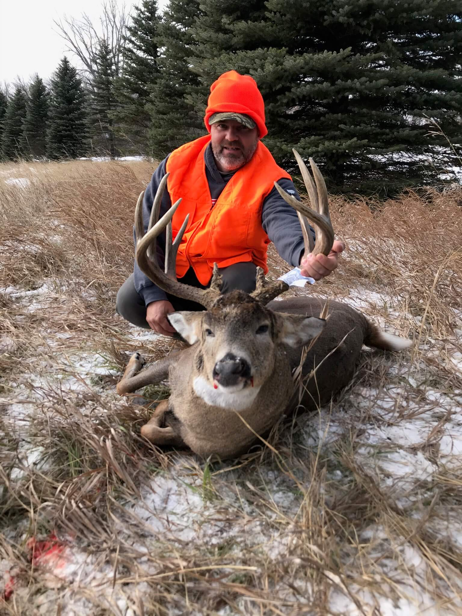 North Dakota Whitetail Deer Rut Hunt