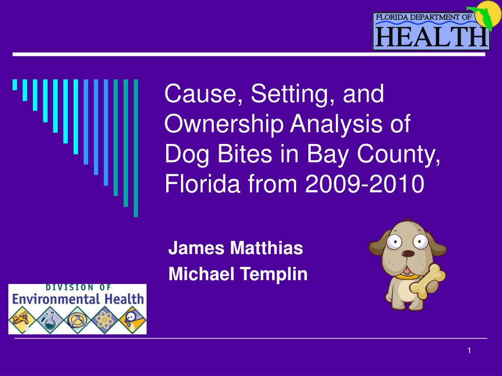 Ppt - Cause, Setting, And Ownership Analysis Of Dog Bites In