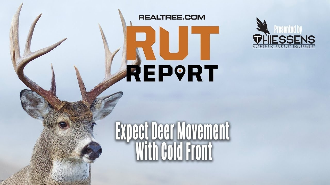 Deer And Deer Hunting Rut Prediction 2021 | Calendar
