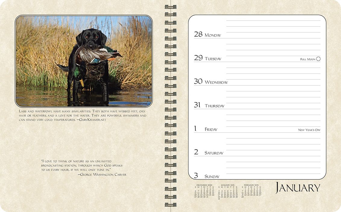 Deer Hunting Calendar 2021 | Calendar Printables Free Blank