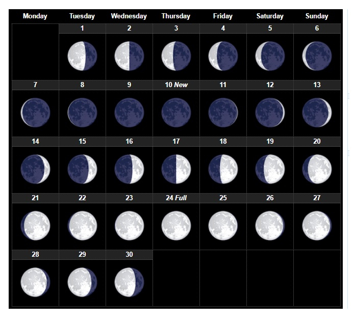 Lunar Calendar 2021 Free / Free 2021 Calendar With Lunar