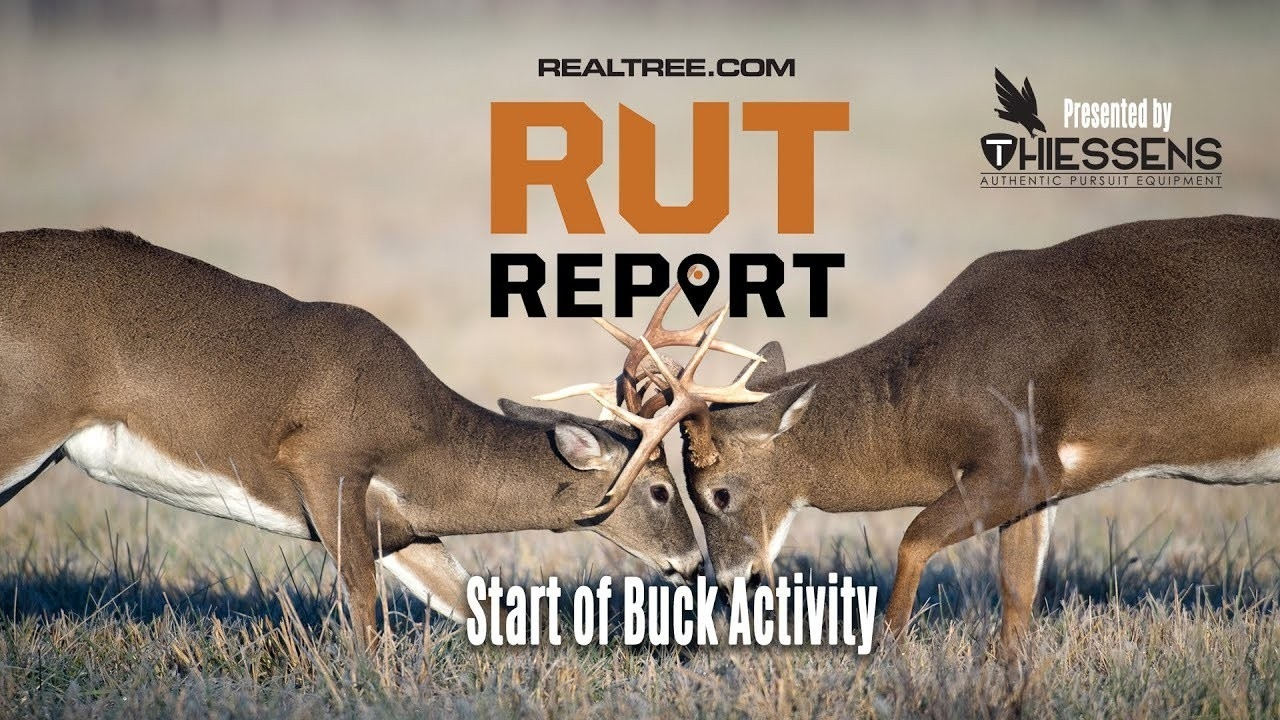 Deer And Deer Hunting Rut Prediction 2021 | Calendar