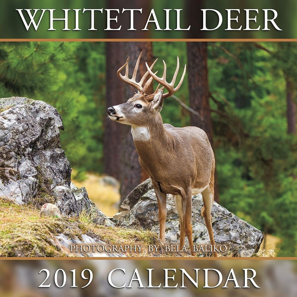 Deer Rut Forecast 2021 | Calendar Printables Free Blank