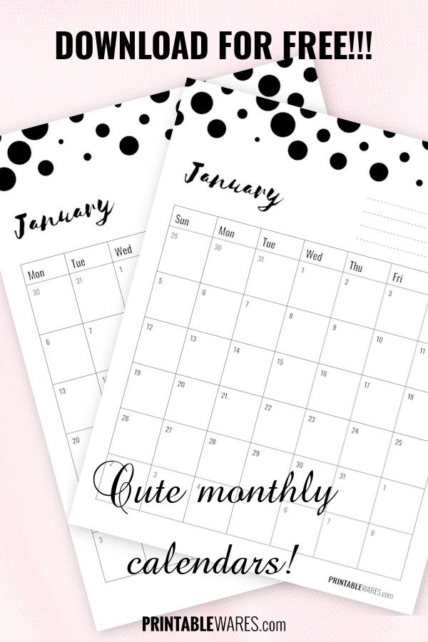 Elegant Blank Organizing Calendar For January 2020 With