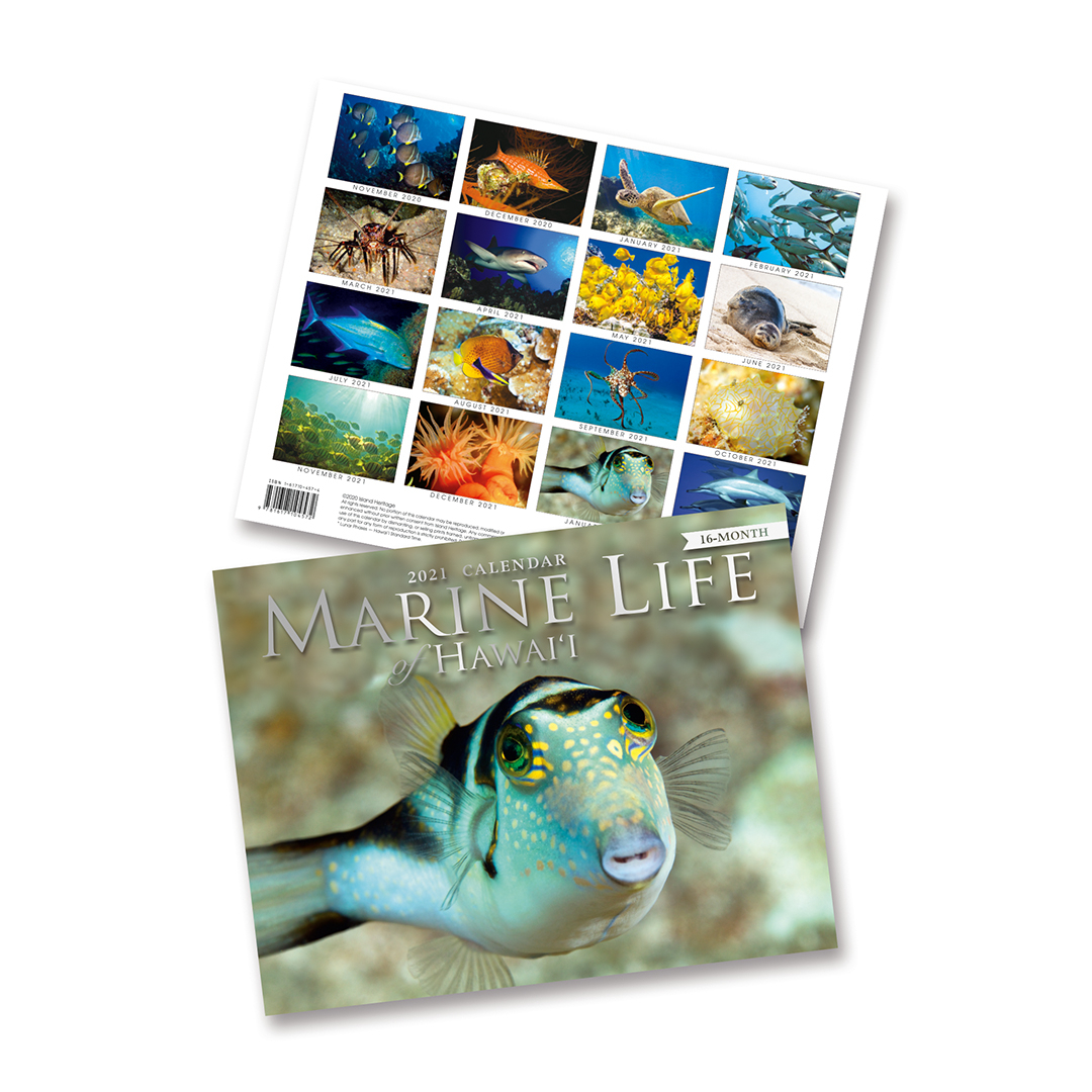 2021 Trade Calendar, Marine Life Of Hawaii - Welcome To