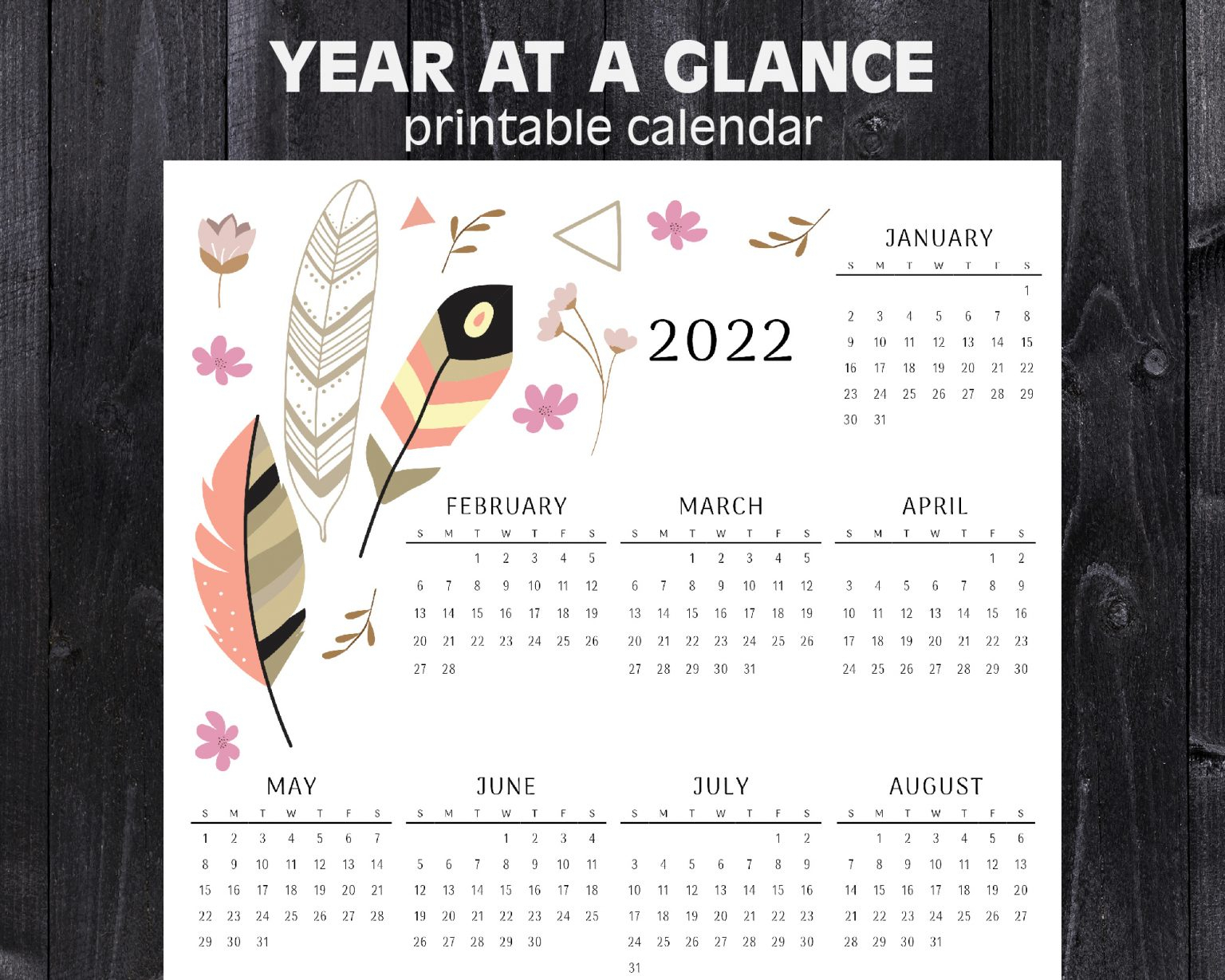 2022 Year At A Glance Calendar | Feathers | Printable