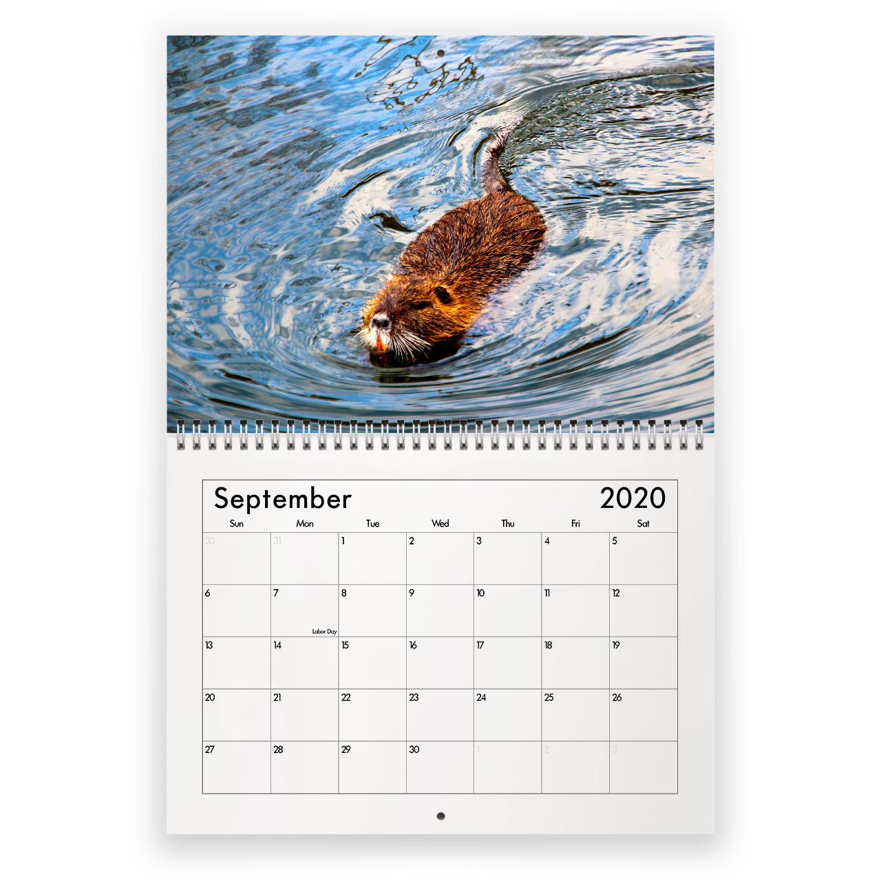 Beaver 2022 Calendar