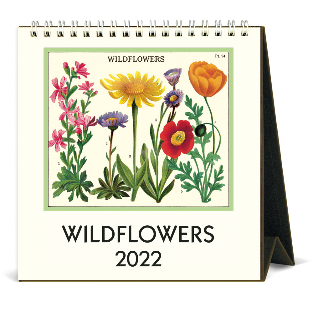 Buy Cavallini 2022 Desk Calendar Wildflowers