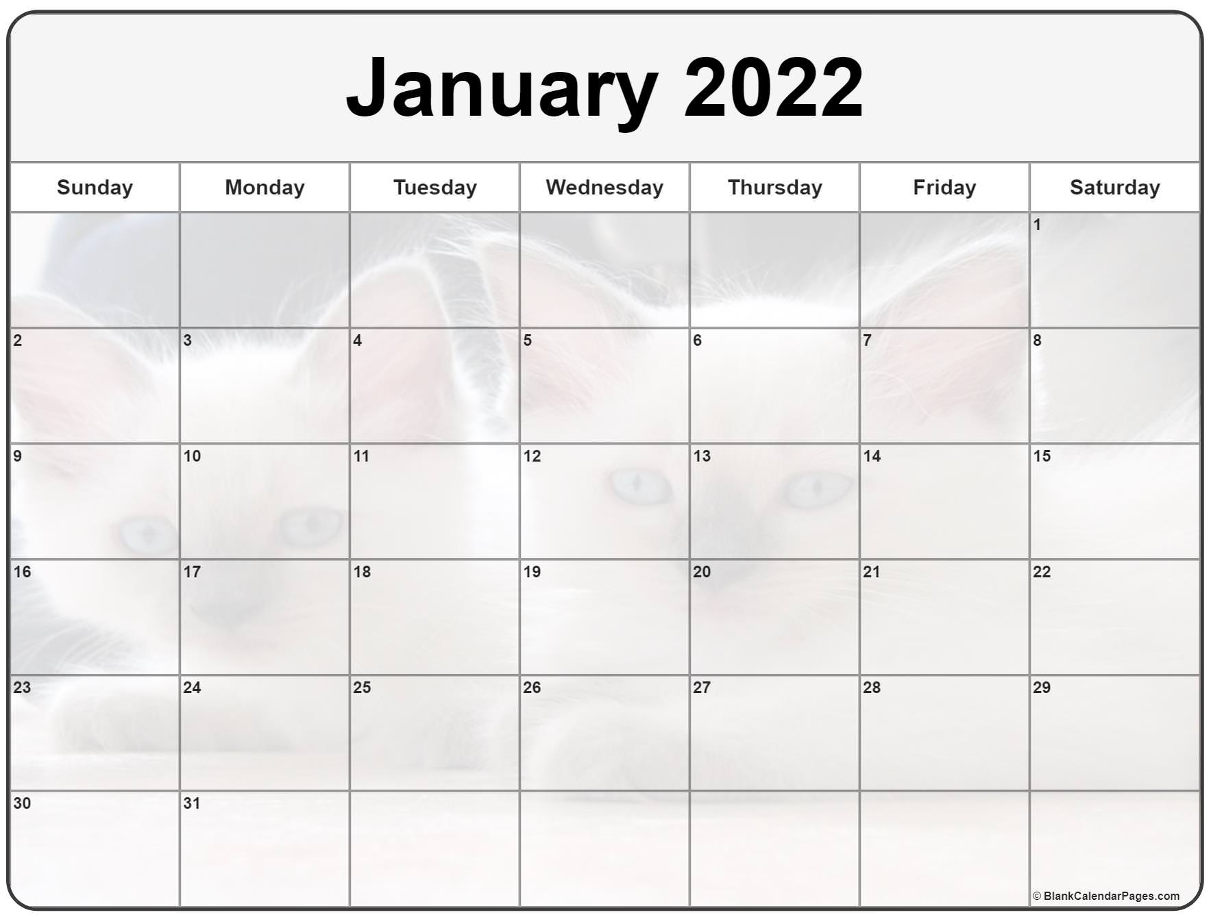 Cute Printable Calendar January 2022 - 2023 Printable