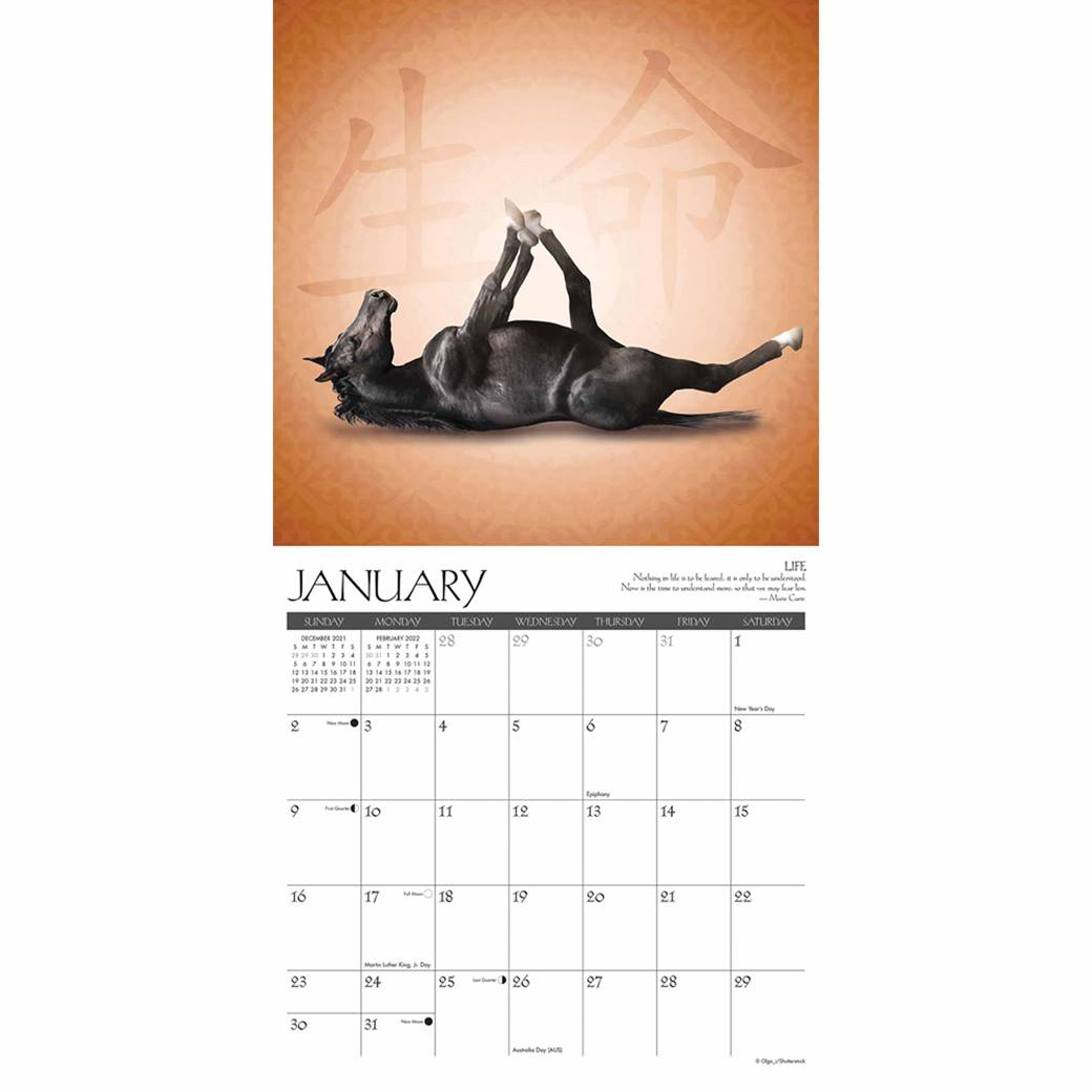 Horse Yoga Calendar 2022 At Calendar Club