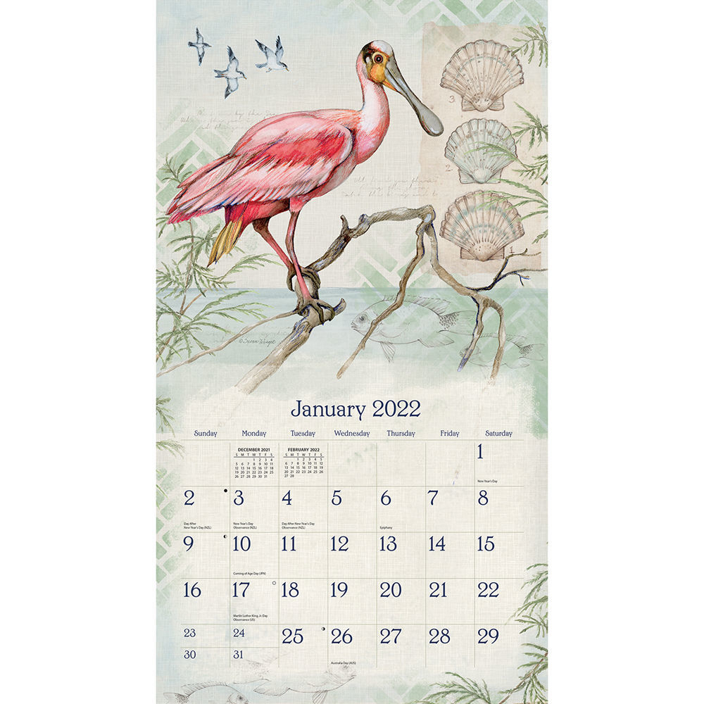 Lang Wall Calendar 2022 Shoreline By Susan Winget | Nextra