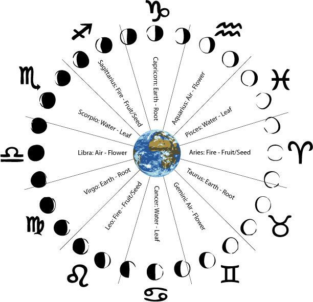 Moon Signs, The Phases That Correspond With Zodiac Signs