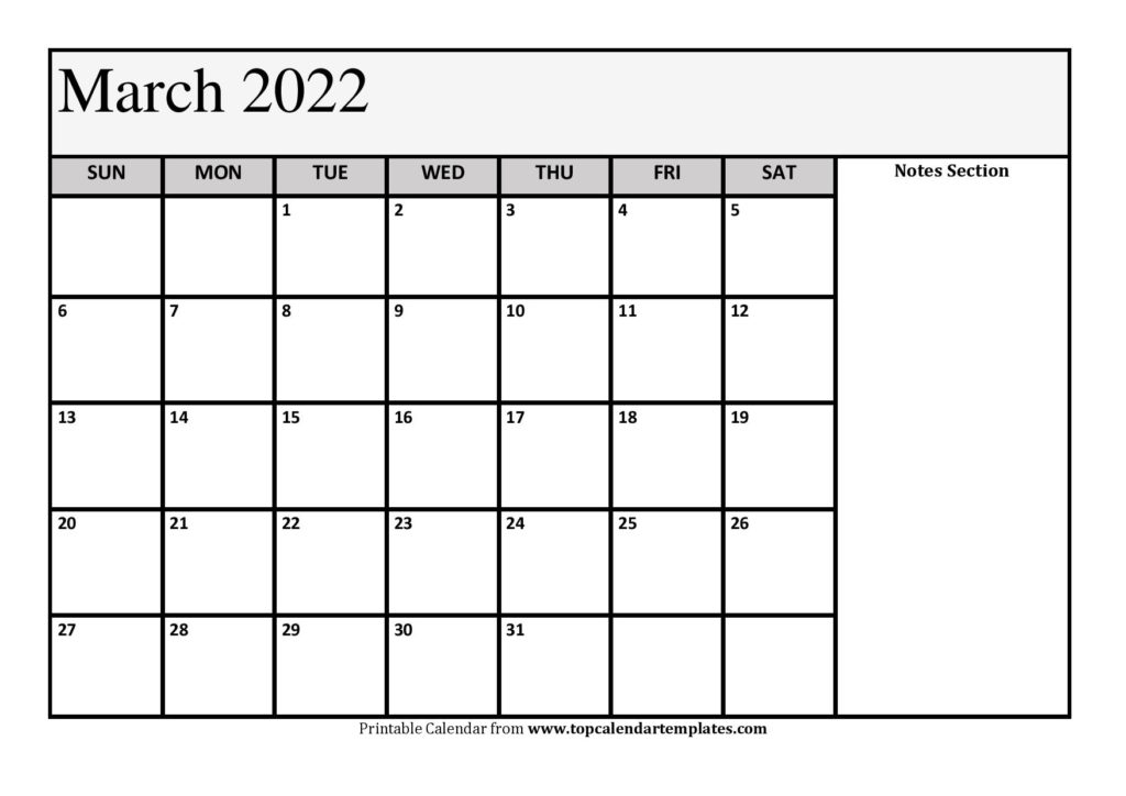 2022 Printable Daily Calendar