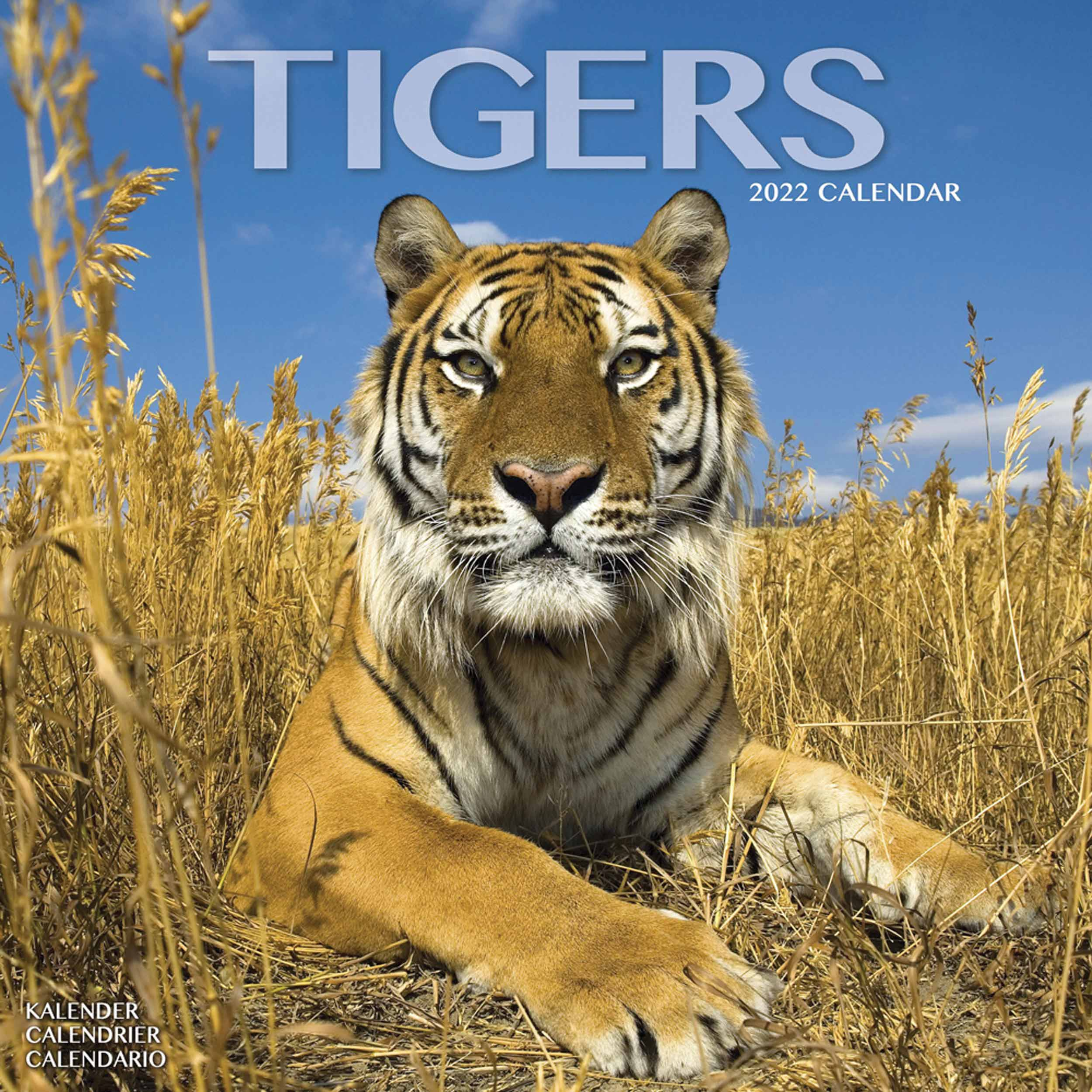 Tigers Calendar 2022 At Calendar Club