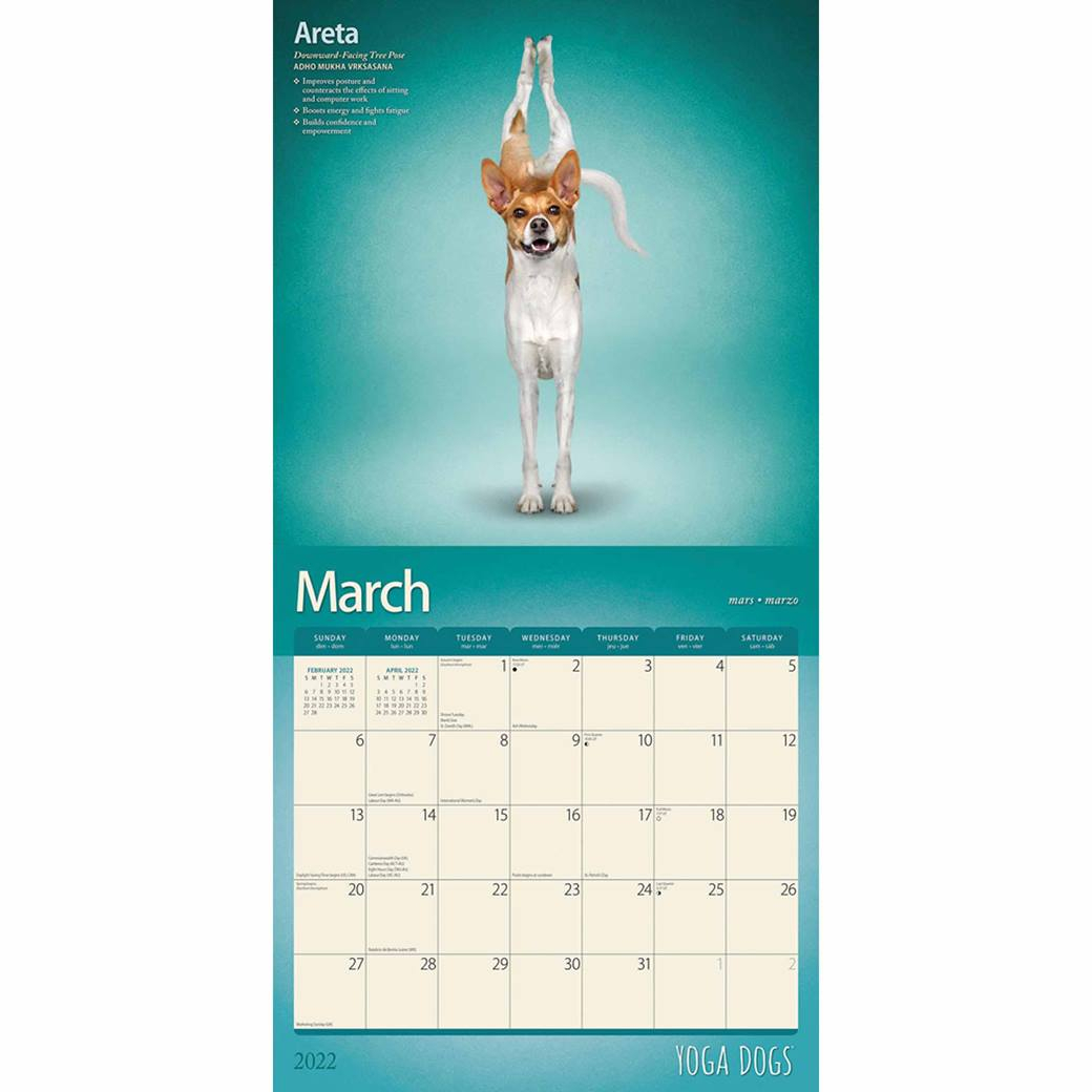 Yoga Dogs Calendar 2022 At Calendar Club