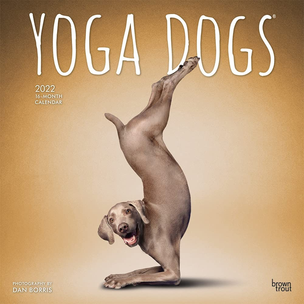 Yoga Dogs Official 2022 12 X 12 Inch Monthly Square Wall