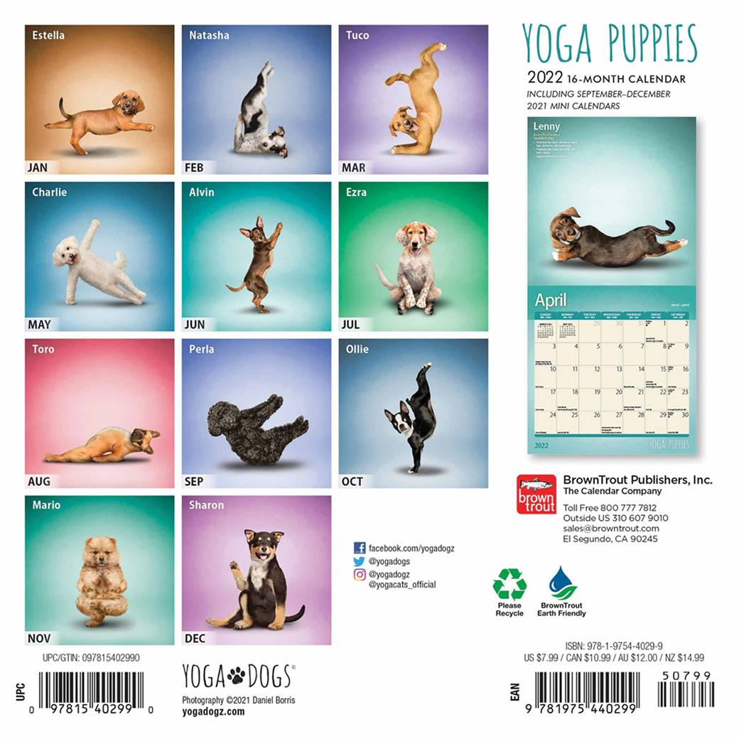 Yoga Puppies Mini Calendar 2022 At Calendar Club